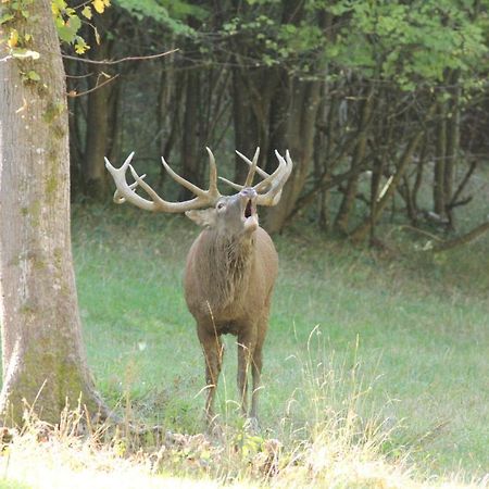 Domaine De Montchevreuil Otel Fresneaux-Montchevreuil Dış mekan fotoğraf